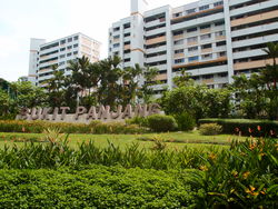 Blk 214 Petir Road (Bukit Panjang), HDB 3 Rooms #187452982